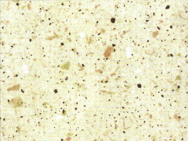 4793 TP CHIP SAND (D93QZ) BEIGE 4,2 fm VÍZZÁRÓ