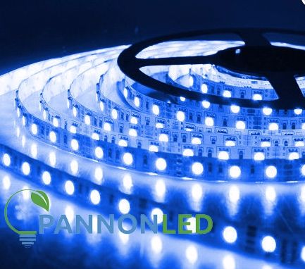 LED SZALAG 3528/60 KÉK 5m 12V IP65 