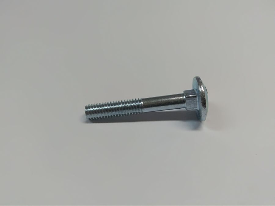 KAPUPÁNT CSAVAR DIN603 M6x40, 200db/doboz 4.6 GALV. HORG.