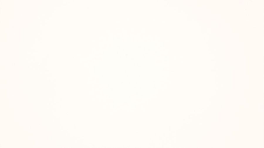 RAUVISIO BRILLIANT CAPITAL STARLIT 2455L 2800x1300x17,6mm SR MATT, NEMESMATT 