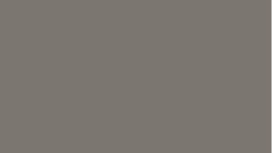 RAUVISIO BRILLIANT TRENCH COAT 2458L 2800x1300x17,6mm SR MATT, NEMESMATT 