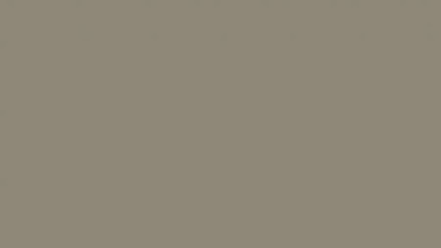 U740 ST9 SÖTÉT TAUPE 0,4/22mm ABS ÉLZÁRÓ EGGER