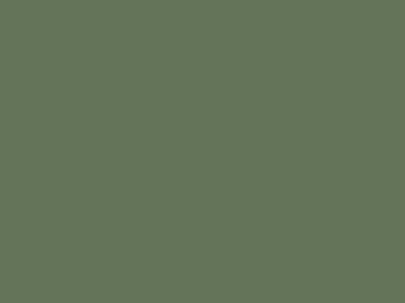 TM0162 OLÍVA ZÖLD 2800x1220x18mm KONFEKCIONÁLT PVC TOPMATT UNI
